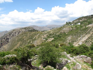 2015-05-30 Sierra Nevada 028