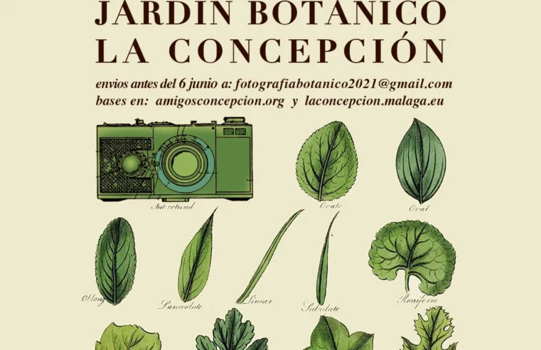 GANADORES XV CONCURSO DE FOTOGRAFÍA «Jardín Botánico Histórico La Concepción» 2021