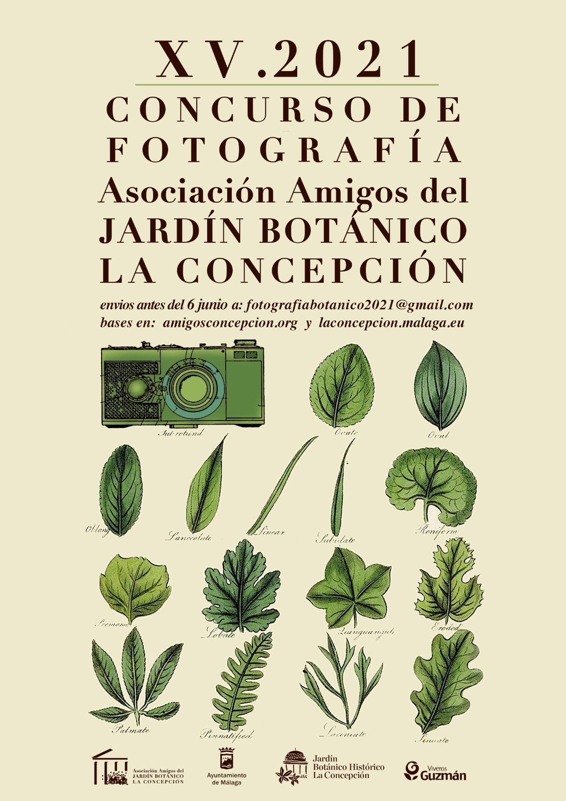 GANADORES XV CONCURSO DE FOTOGRAFÍA «Jardín Botánico Histórico La Concepción» 2021