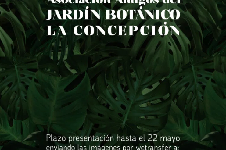 XVI CONCURSO DE FOTOGRAFÍA «Jardín Botánico Histórico La Concepción» 2022