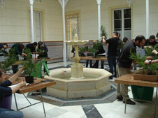 curso bonsai